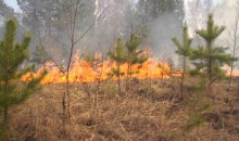 В Алтайском крае сохраняется пожароопасная обстановка