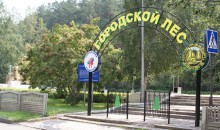 Посещение городских лесов ограничено из-за противопожарного режима