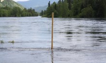 Вода в Бие вновь начала прибывать