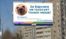 На пост сити-менеджера барнаульцы предлагают кота Барсика