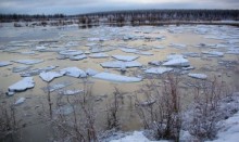 Ледоход в онлайн-режиме смогут наблюдать жители Алтайского края