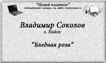 «Новый писатель»: Владимир Соколов, 27 лет, г. Бийск