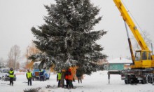 В Бийске возводят главную Елку!