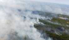 Пожары, несущие дым на Алтай, решено не тушить ради экономии