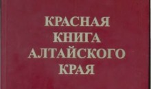 600 тысяч рублей потратят на новую Красную книгу Алтайского края