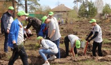 В Бийске высадили свыше 8 тысяч саженцев