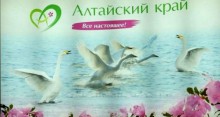 В Москве презентовали бренд Алтайского края